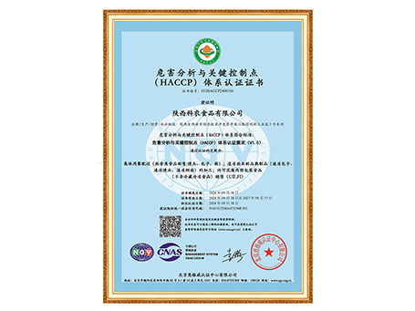 Σ��������ؼ����Ƶ���ϵ��֤֤��